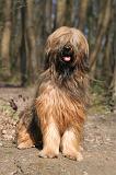 BRIARD 216